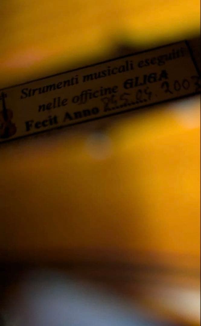 GLIGA 4/4 2003年製 バイオリン ケース イーストマン - メルカリ