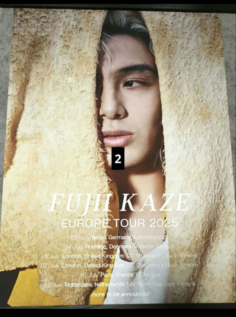 多種選択特大ポスター