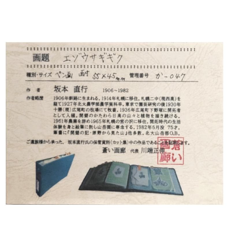 ☆坂本直行☆「エゾウサギギク」ペン画 小作品20角額 未使用！の通販