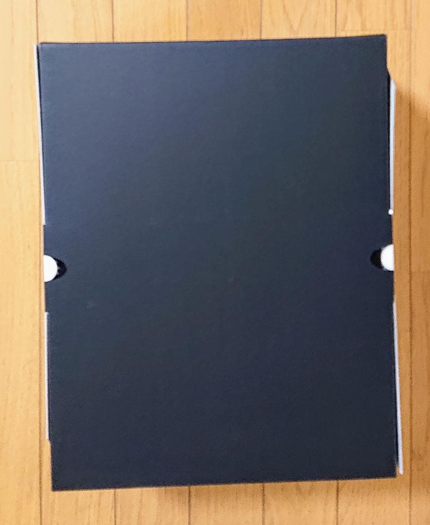 【未開封】アムネロ 水着ver. ひょころー 1/6