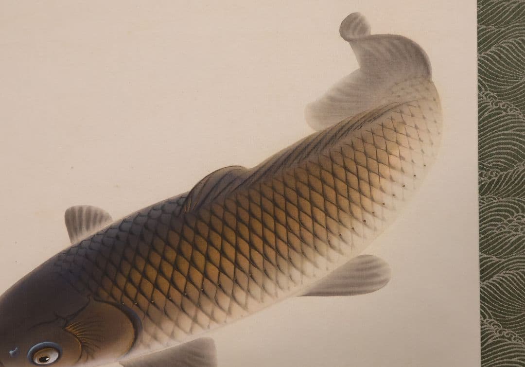 【真作】日本画 大谷園泉 鯉図 絹本 掛軸 双鯉 MB119