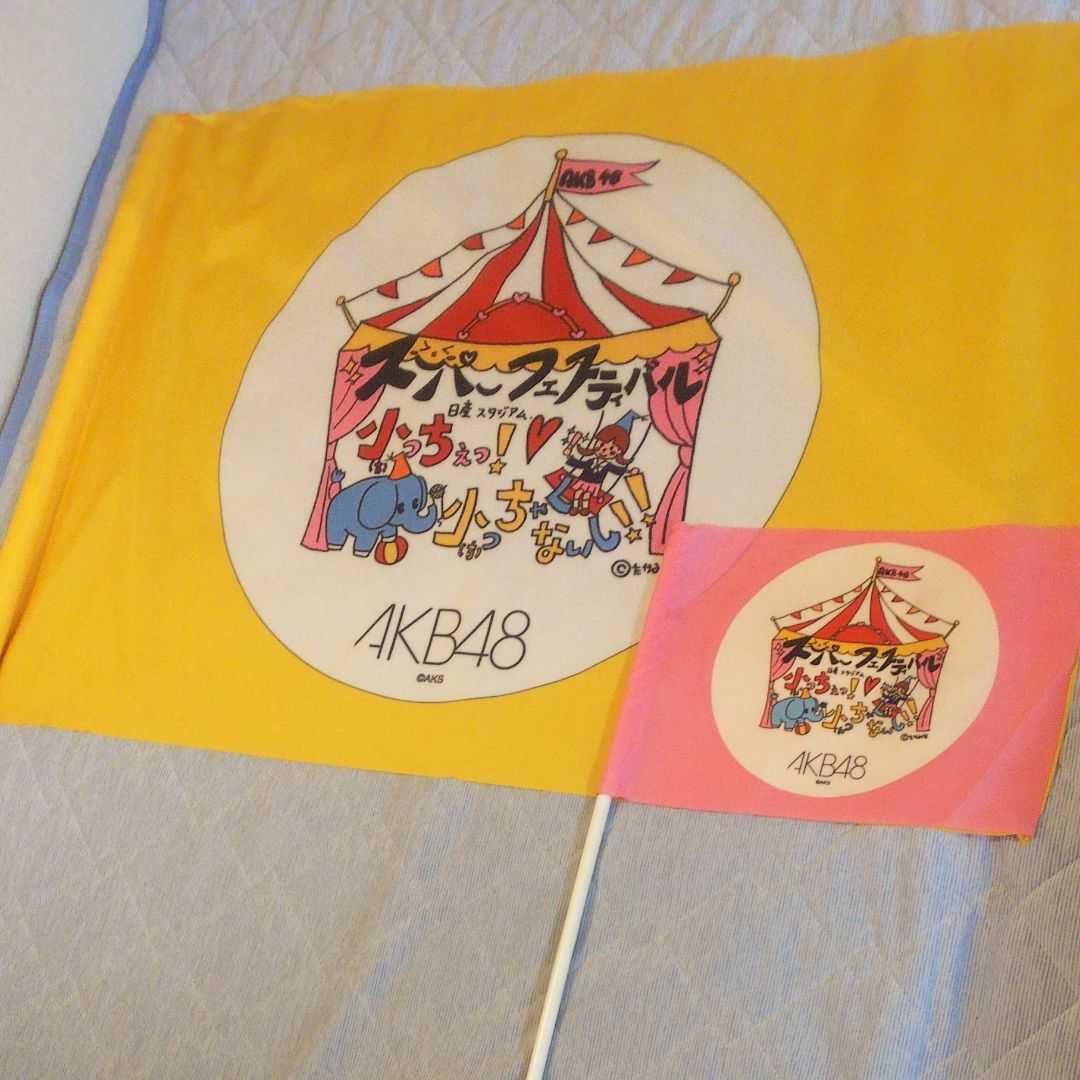 AKB48 日産スタジアム コンサート オープニングメンバー使用フラッグ 希少 AKB48 日産スタジアム コンサート オープニングメンバー使用フラッグ