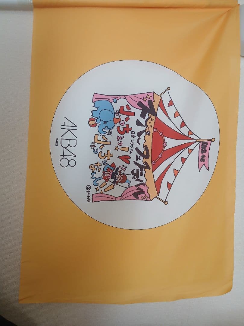 AKB48 日産スタジアム コンサート オープニングメンバー使用フラッグ