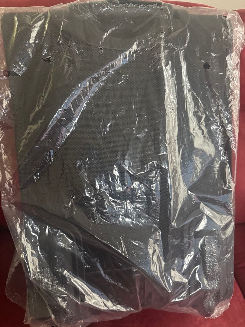 Southern All Stars 25th キャリーバッグ✨️新品✨️