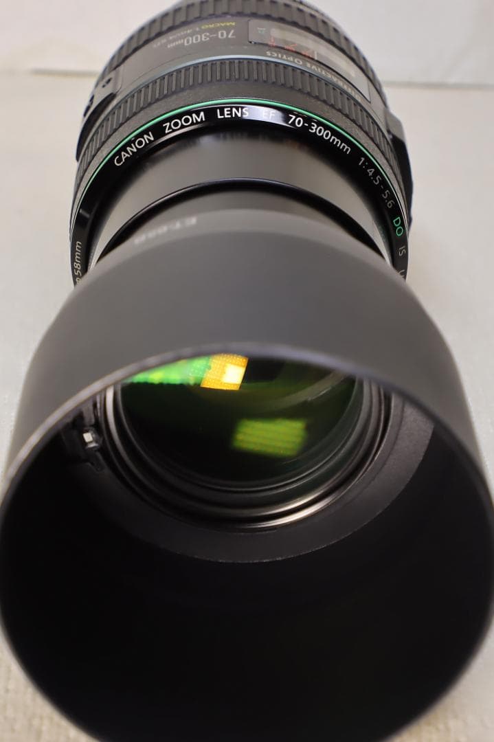 EF70-300mm F4.5-5.6 DO IS USM【高解像感・作例あり】