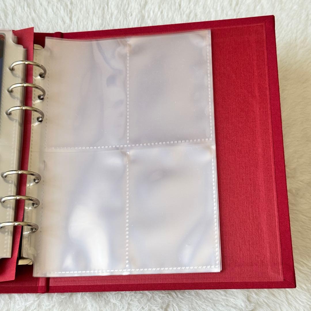 女王蜂　蜂戯王ファイル　蜂戯王76枚　チェキ4枚　カード2枚