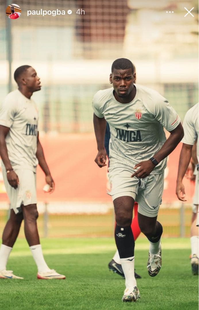 BAPE × adidas プレデターエリートFT A BATHING APE アディダス BAPE × ADIDAS プレデター エリート コラボ 27.5 - メルカリ