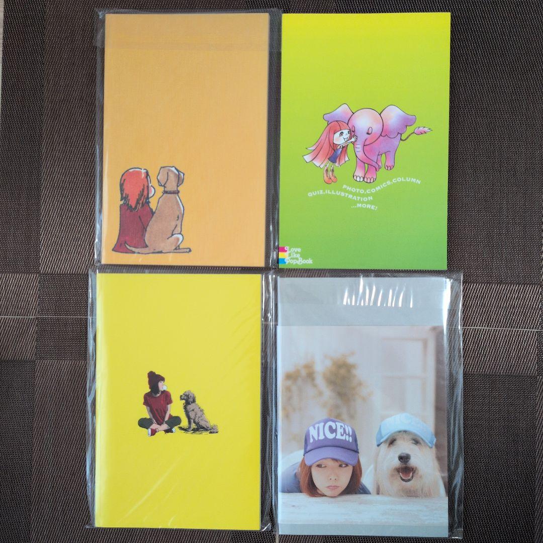 aiko LOVE LIKE ROCK LIMITED含む ツアーパンフレット