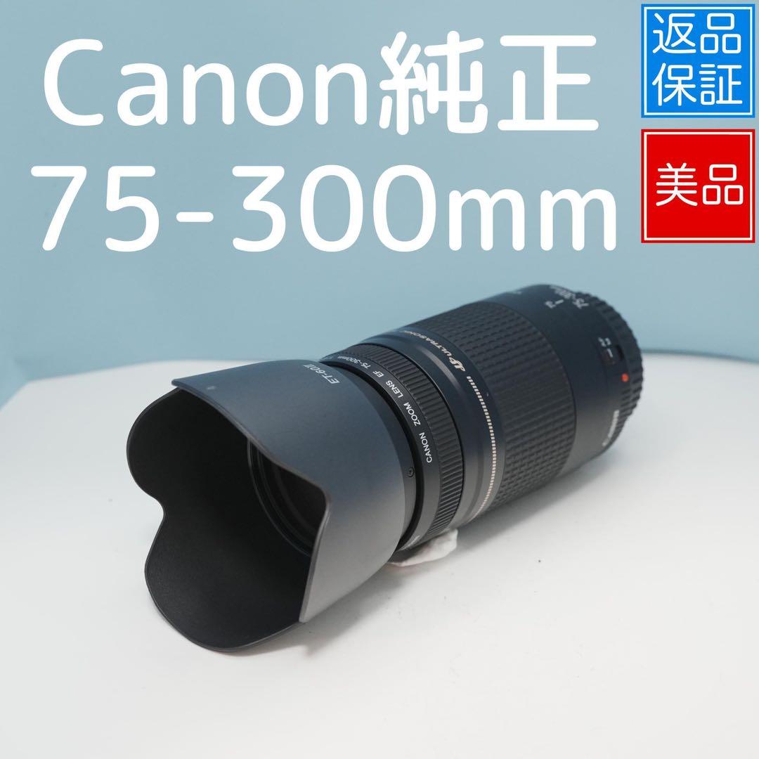 Canon純正 75-300mm 望遠レンズ 美品 a4666 キヤノン（Canon） Canon EF 75-300mm f/4-5.6 III 美品 EFマウント