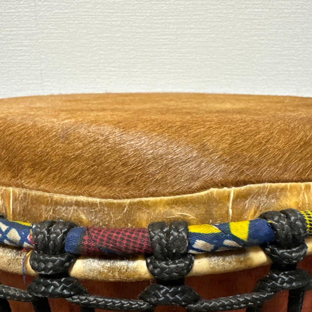 パーカッション ブガラブー プロラケケース付き - メルカリ