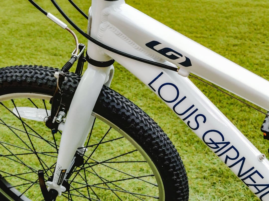 ルイガノ J20【兵庫県 直接引渡し限定】