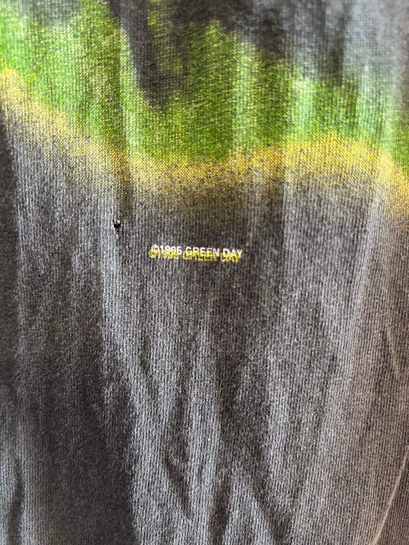 Green Day Insomniac 95 Wild Oats タグ