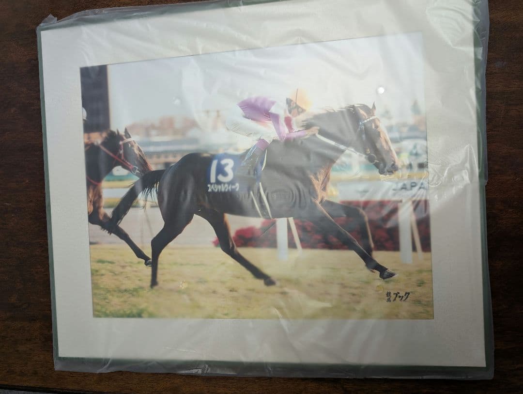 スペシャルウィーク　ジャパンカップ　パネル競馬ブック 競馬ブックネットSHOP / カラーパネル