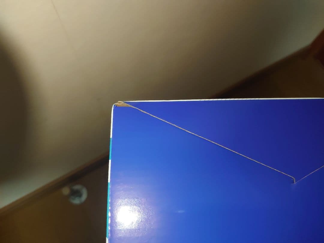 バニースーツ プランニング ソフィア・F・シャーリング 逆バニーVer. 1/4