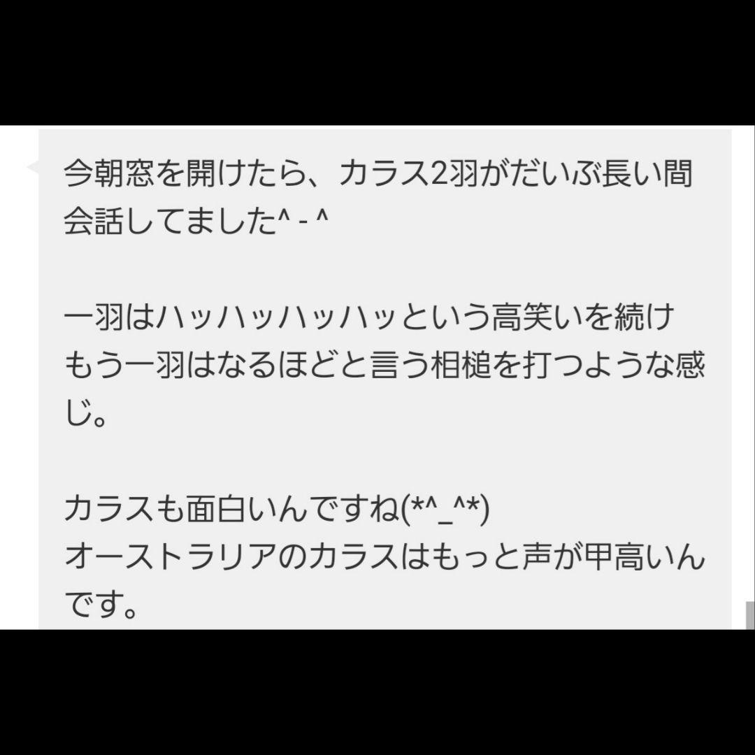 【1点物】 ソロモン王の鍵 護符魔術オルゴンボックス〜土星《禁断の魔弾の箱》〜