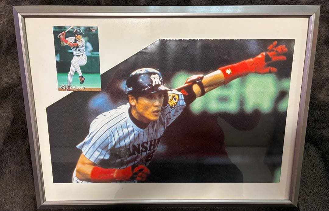 元阪神タイガース 新庄剛志モデル ウィンド・ブレイカー(プロ