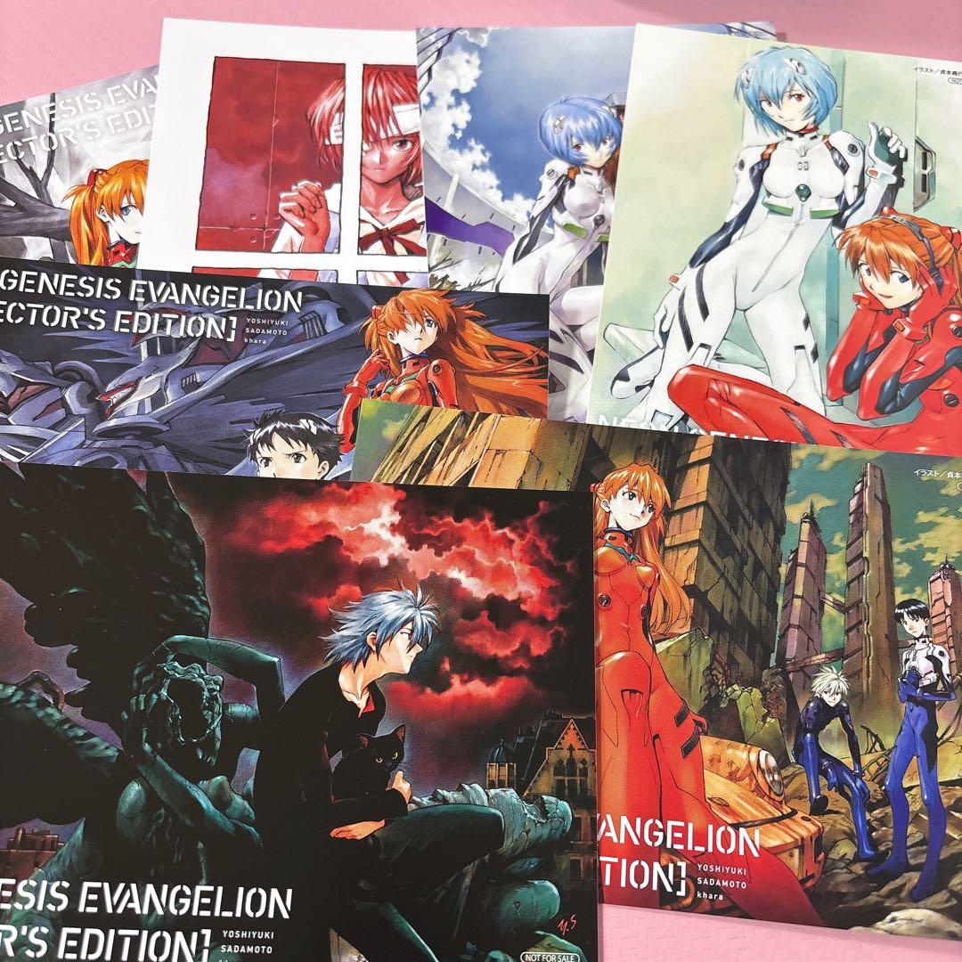 愛蔵版 新世紀エヴァンゲリオン アニメイト特典 イラストカード