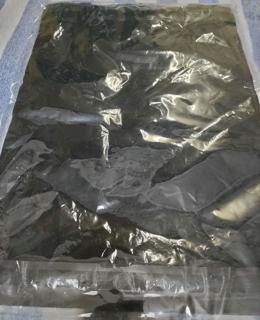 当時物！絶対価格以下無 ブランキージェットシティ D.I.J. Tシャツ 未開封