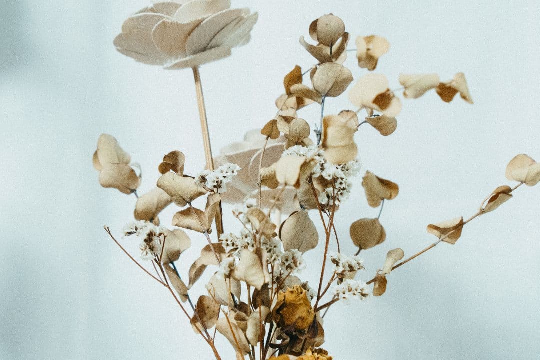 レンズ(ズーム) 18-300mm F/3.5-6.3 Di III-A VC VXD