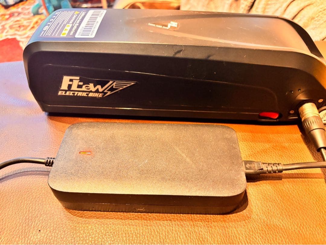 走行50km未満・トルクセンサー搭載・カスタム有】FLOW BIKE 正規品