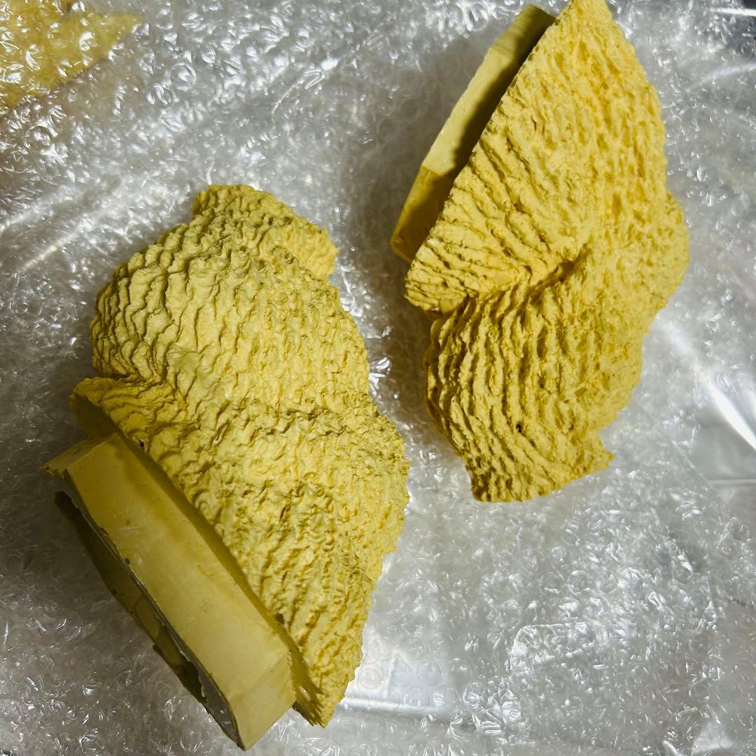 イノウエアーツ 初代ゴジラ 50cm キャスト版 水爆大怪獣東京上陸