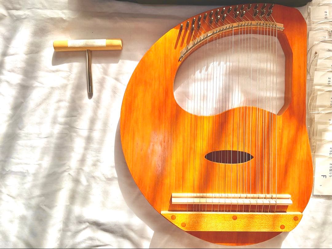 KANNABI 様専用25弦ライアーと収納バッグセット チューニング、替弦付