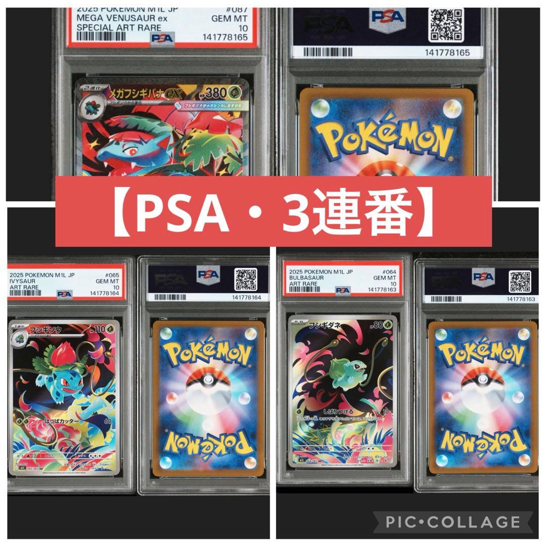 PSA10・3連番】 フシギダネ 進化ライン - メルカリ