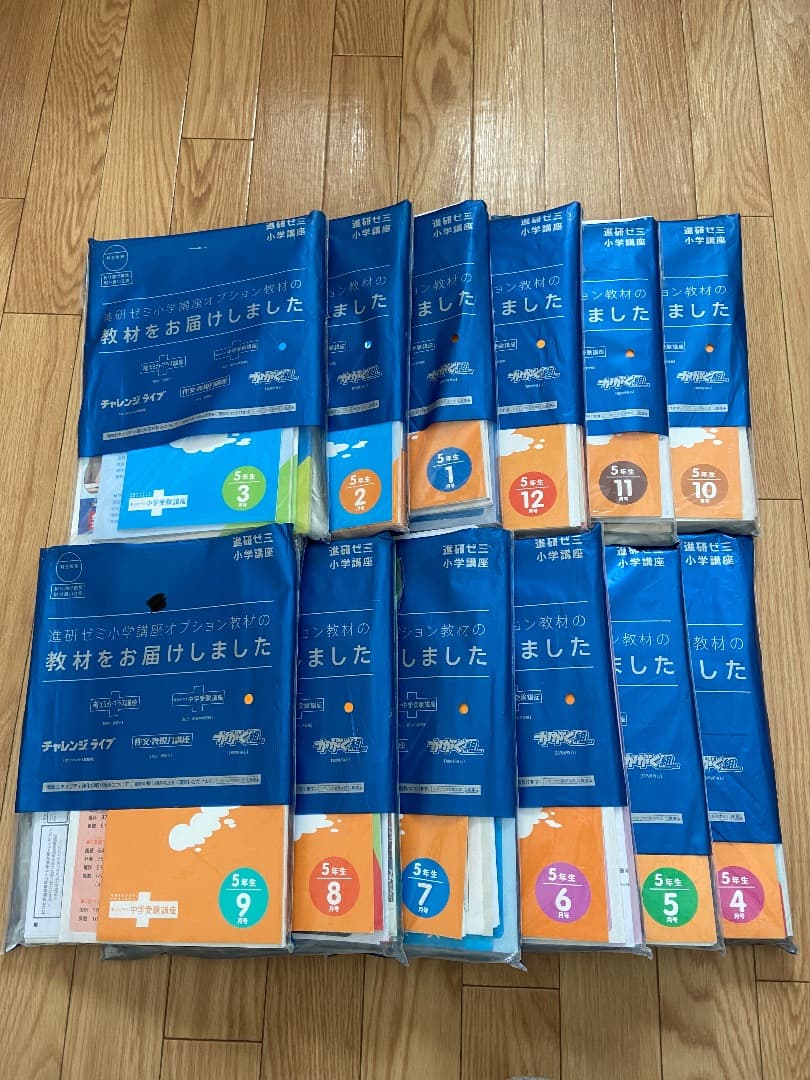 進研ゼミ 中学受験講座 5年 進研ゼミ 中学受験講座 5年生 5月-8月 小学校用教材セット