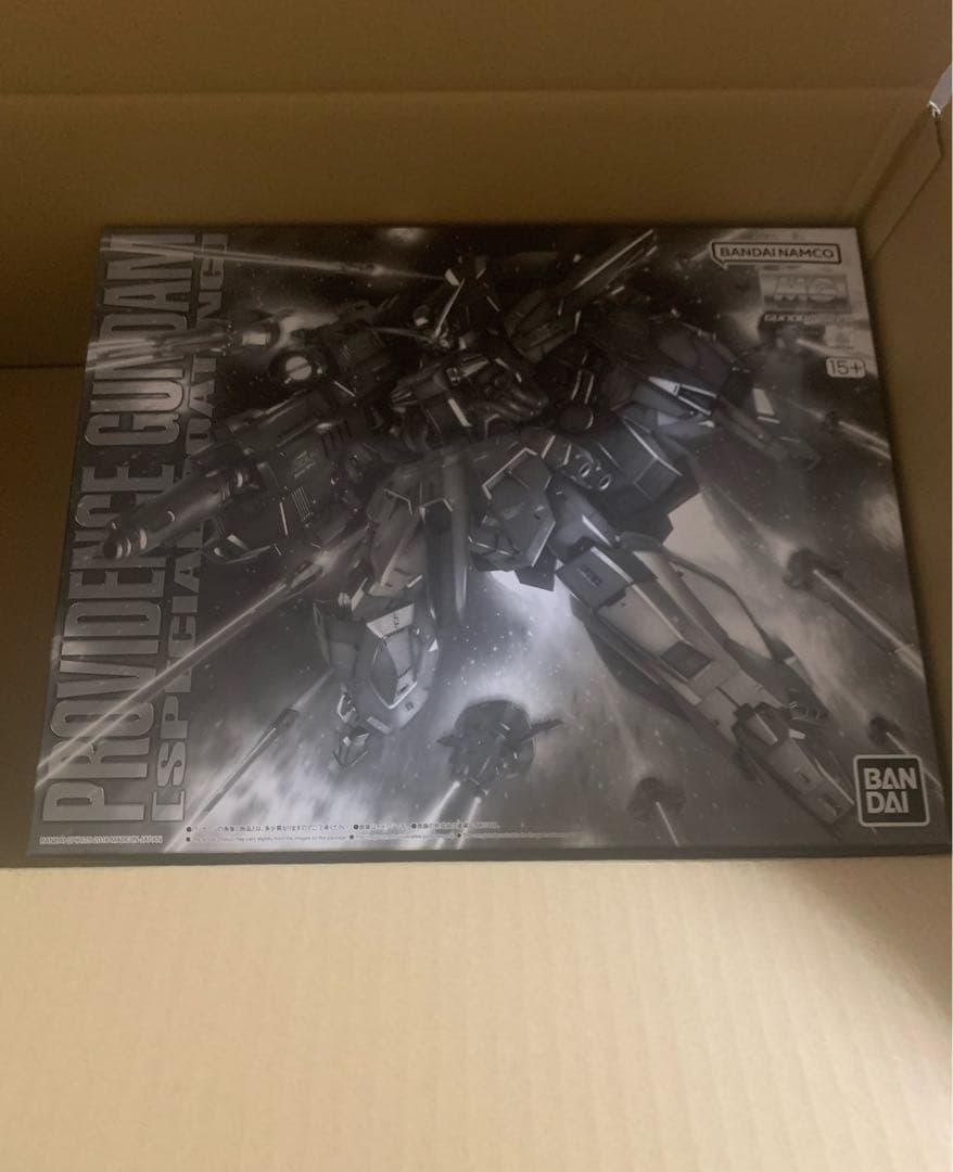 ＭＧ 1/100 プロヴィデンスガンダム [スペシャルコーティング]