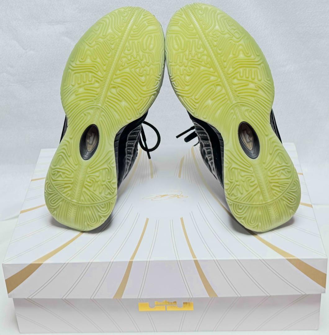 ✨送料込み✨LEBRON 21 Tahitian 10.5 28.5cm