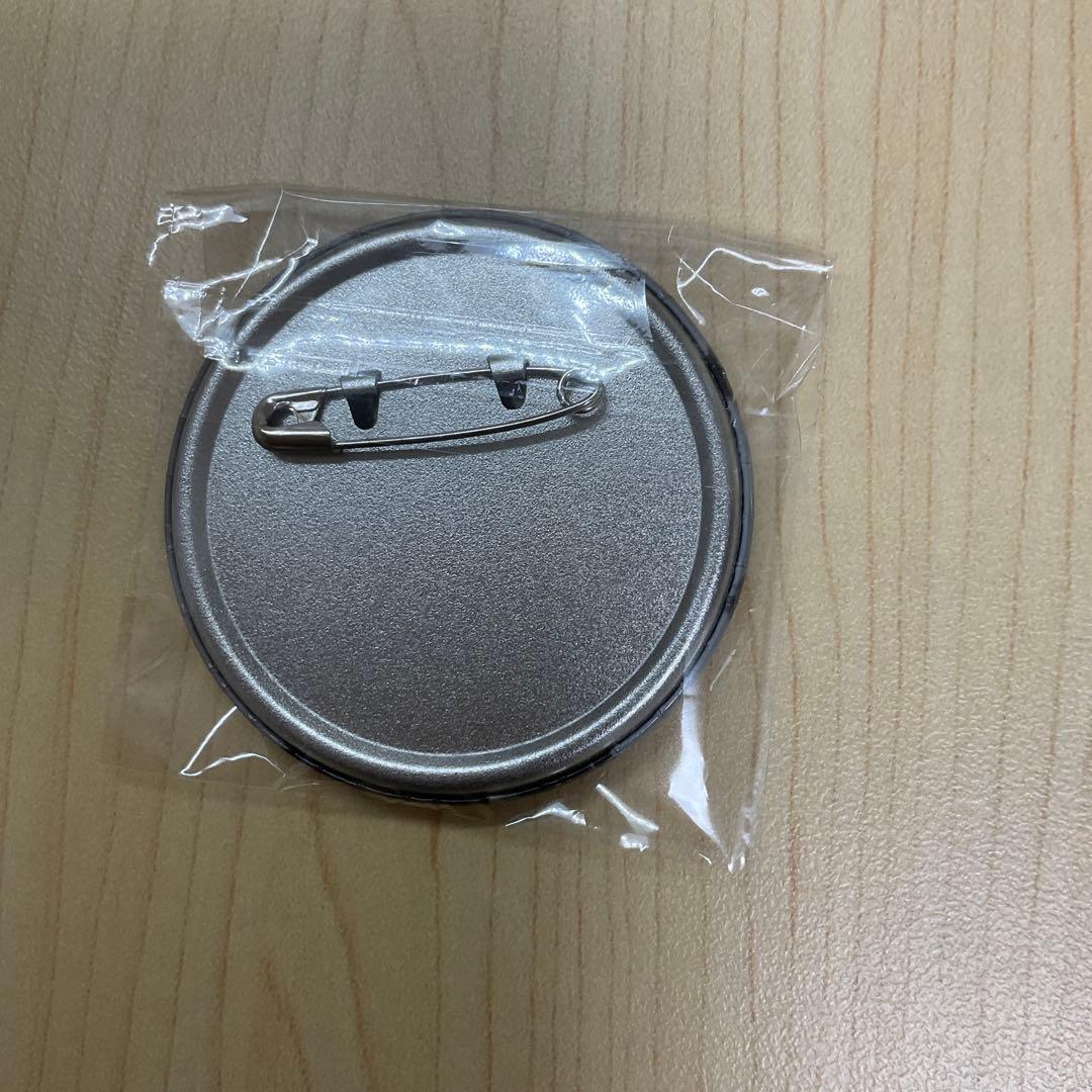 真・三國無双ORIGINS びっく宝島 特典缶バッジ 無名 紫鸞 主人公