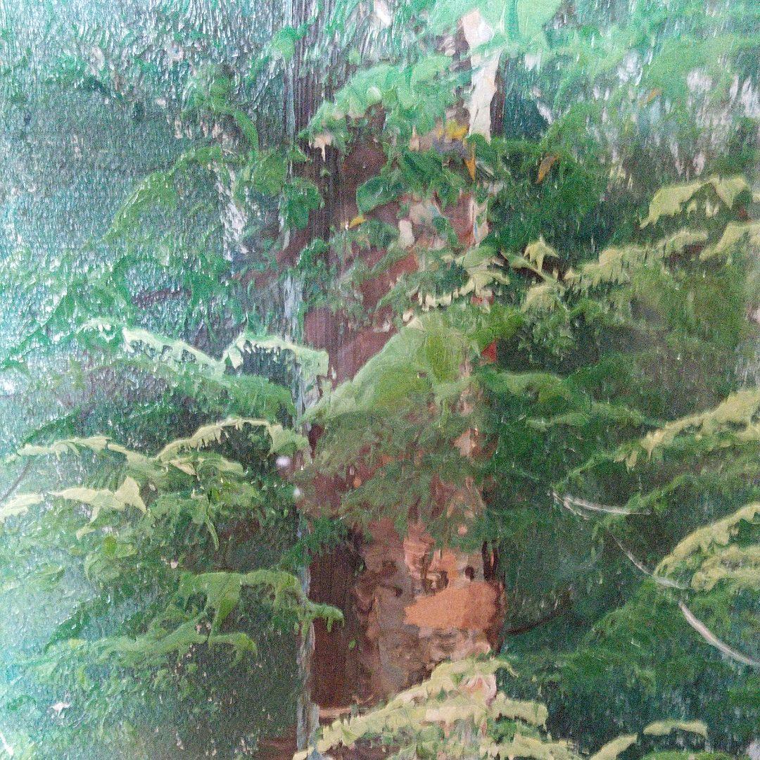 風景画　油絵F10　額付