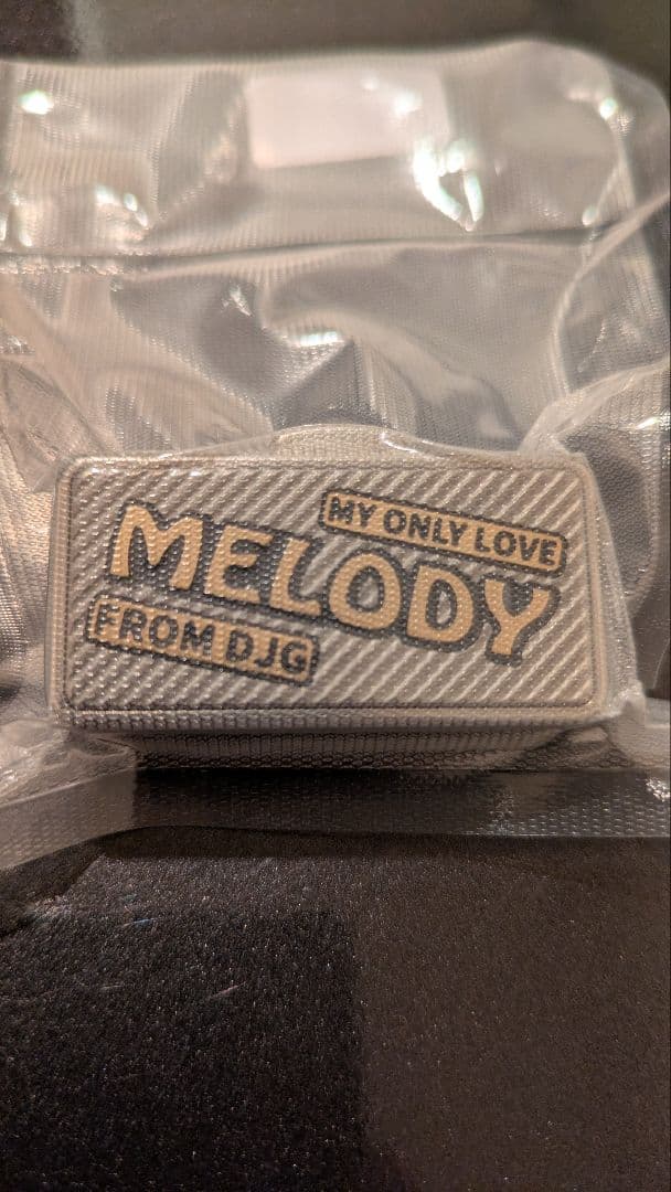 近*藤様 「正規品」DJG MELODY フィジェットトイ音叉　チタン製