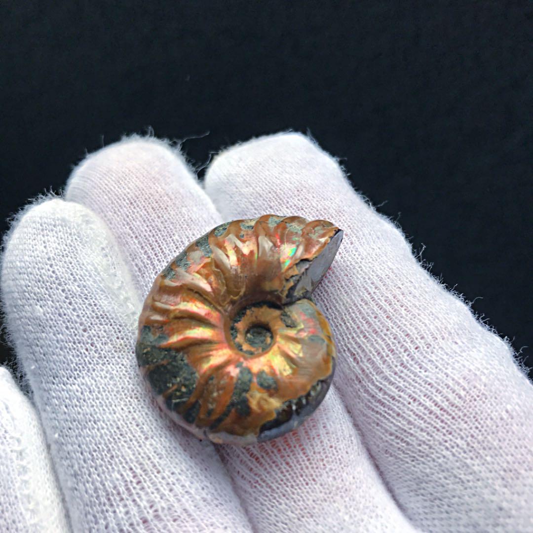 オパール化 アンモナイト化石 14g多彩な発色が特徴的な遊色