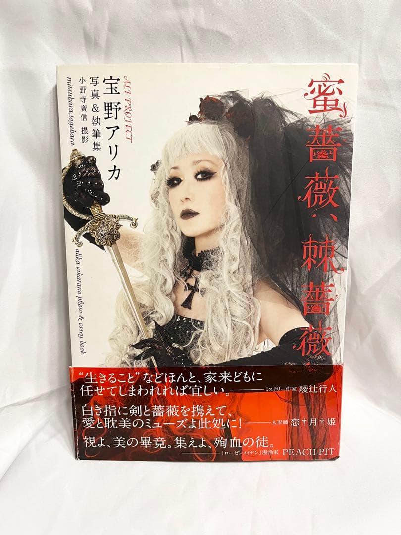 ALI PROJECT】宝野アリカ 写真&執筆集 - メルカリ