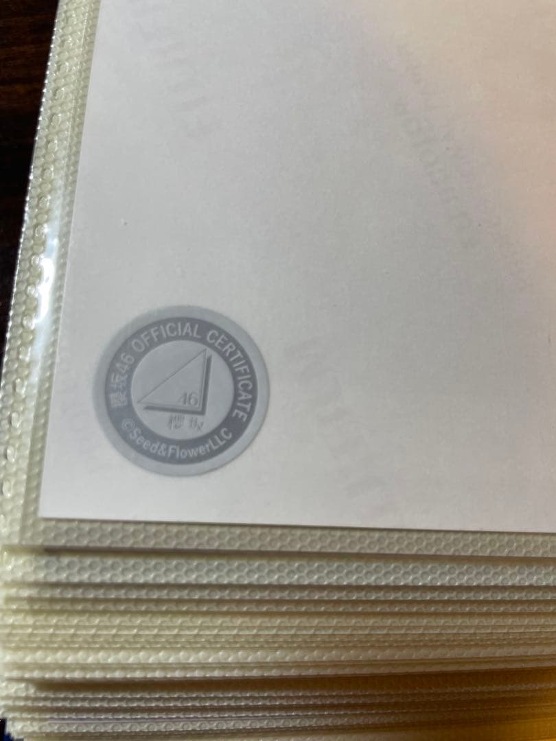 櫻坂46 幸坂茉里乃　直筆　ヨリ　2024