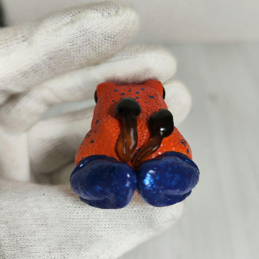 動物の惑星】レア☆ヤドクガエル!23年新春限定品☆廃盤品&限定品