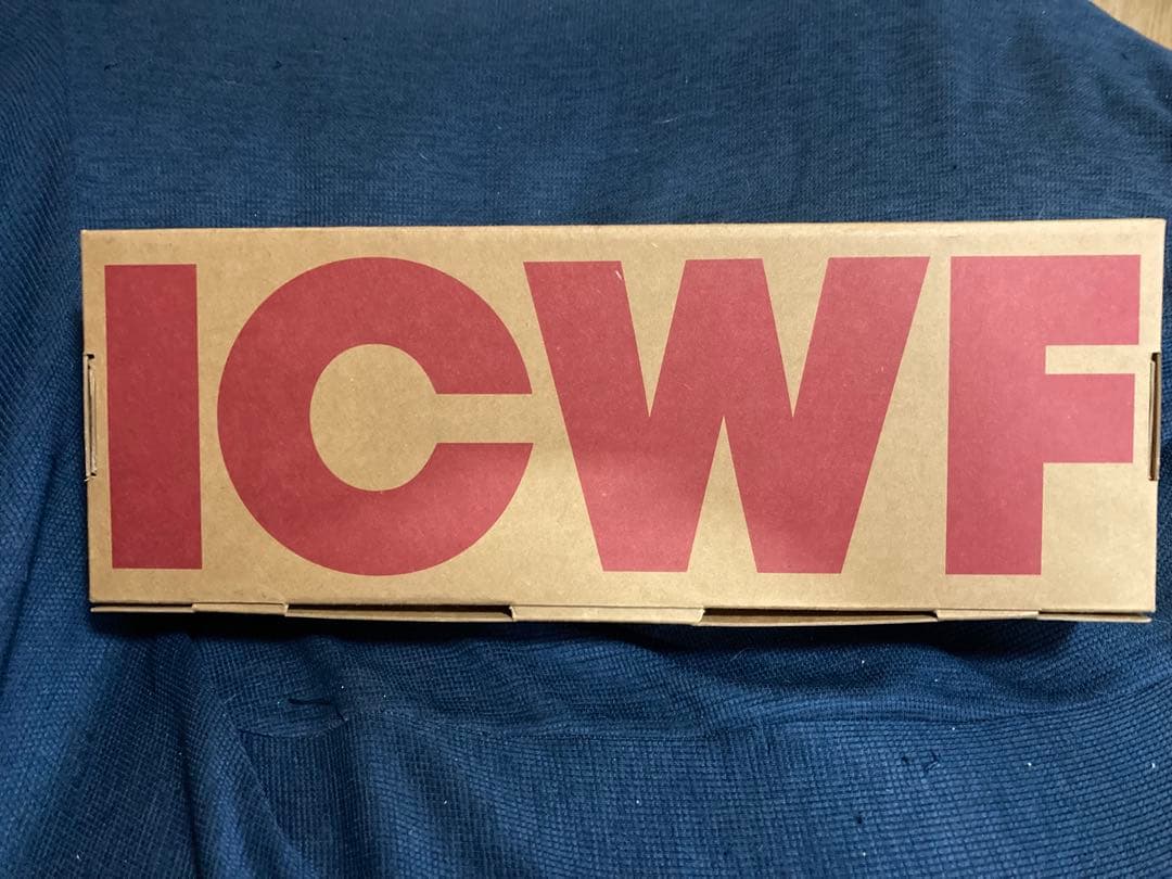 AMOS TOY ICWF IN-CROWD フィギュアセット 7体セット新品