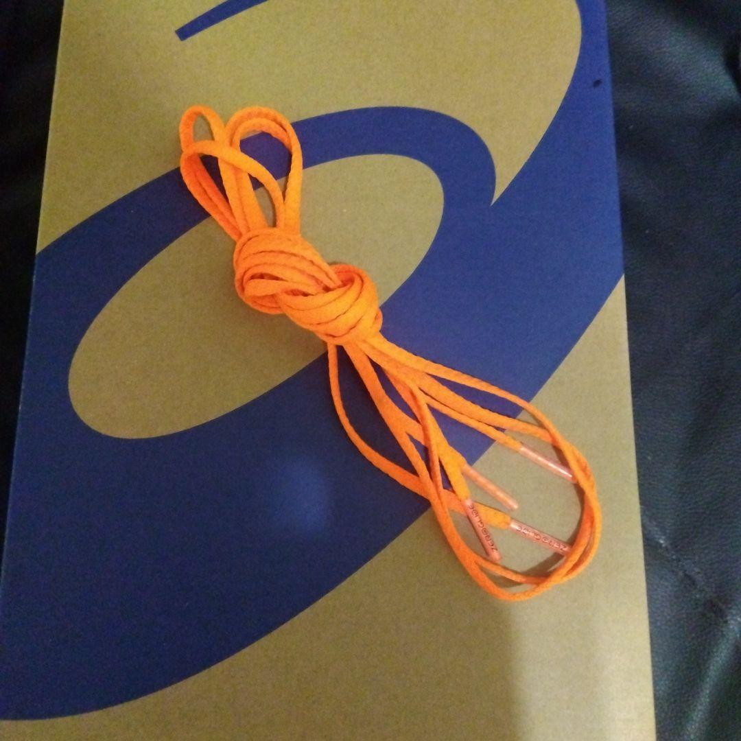 その他 ASICS DS LIGHT X-FLY PRO 2 PARIS 27.0cm