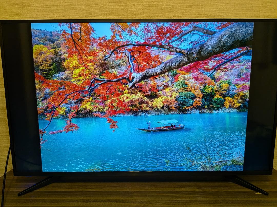 4K液晶テレビ 55インチ Wチューナー ティーズネットワーク 4589449351783.jpg