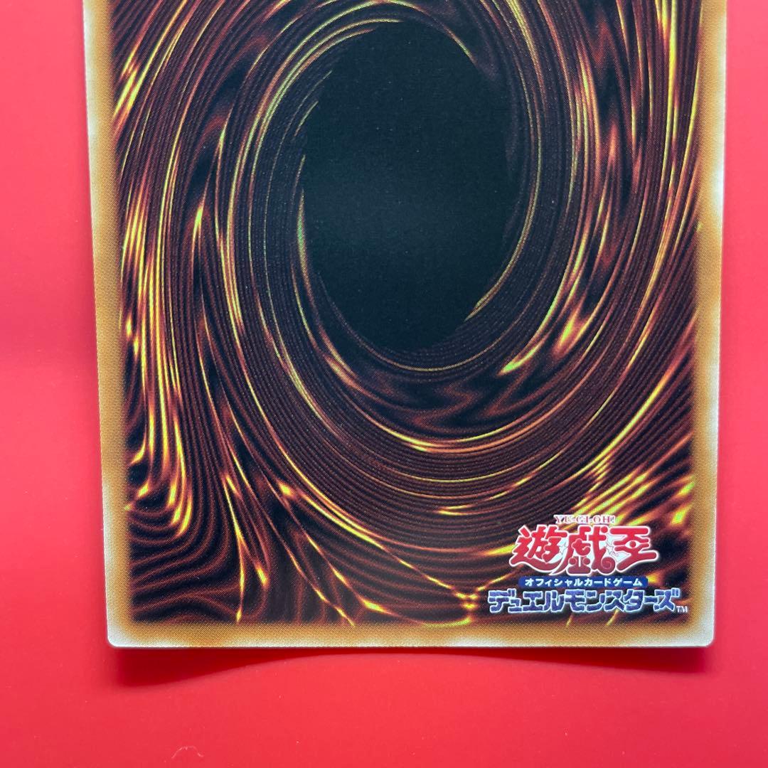 遊戯王　聖域を守護せし光の龍　1枚　WPP6