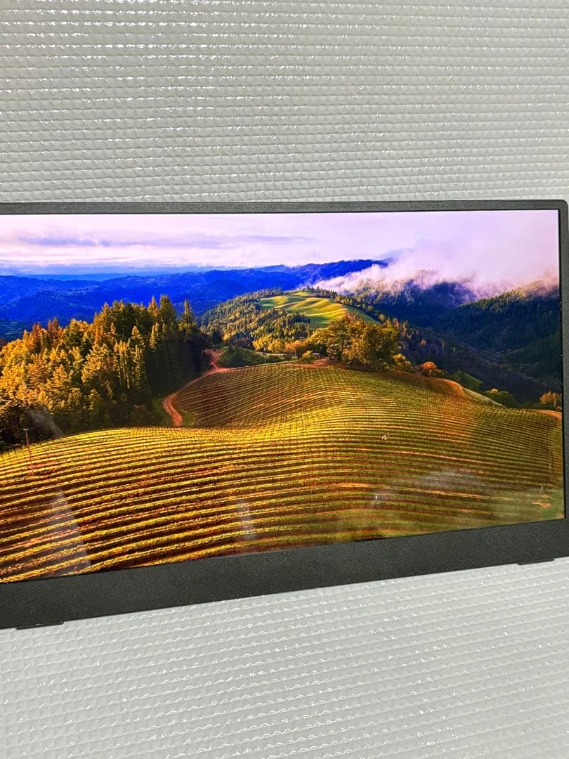 【美品】有機ELモバイルモニター 13.3in cocopar 保護フィルム付き