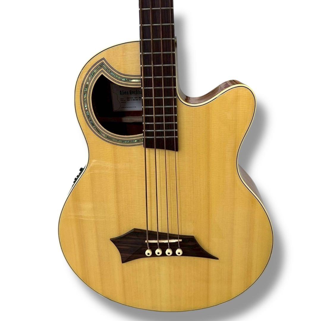 Warwick Alien Deluxe 4弦 アコースティックベース - メルカリ