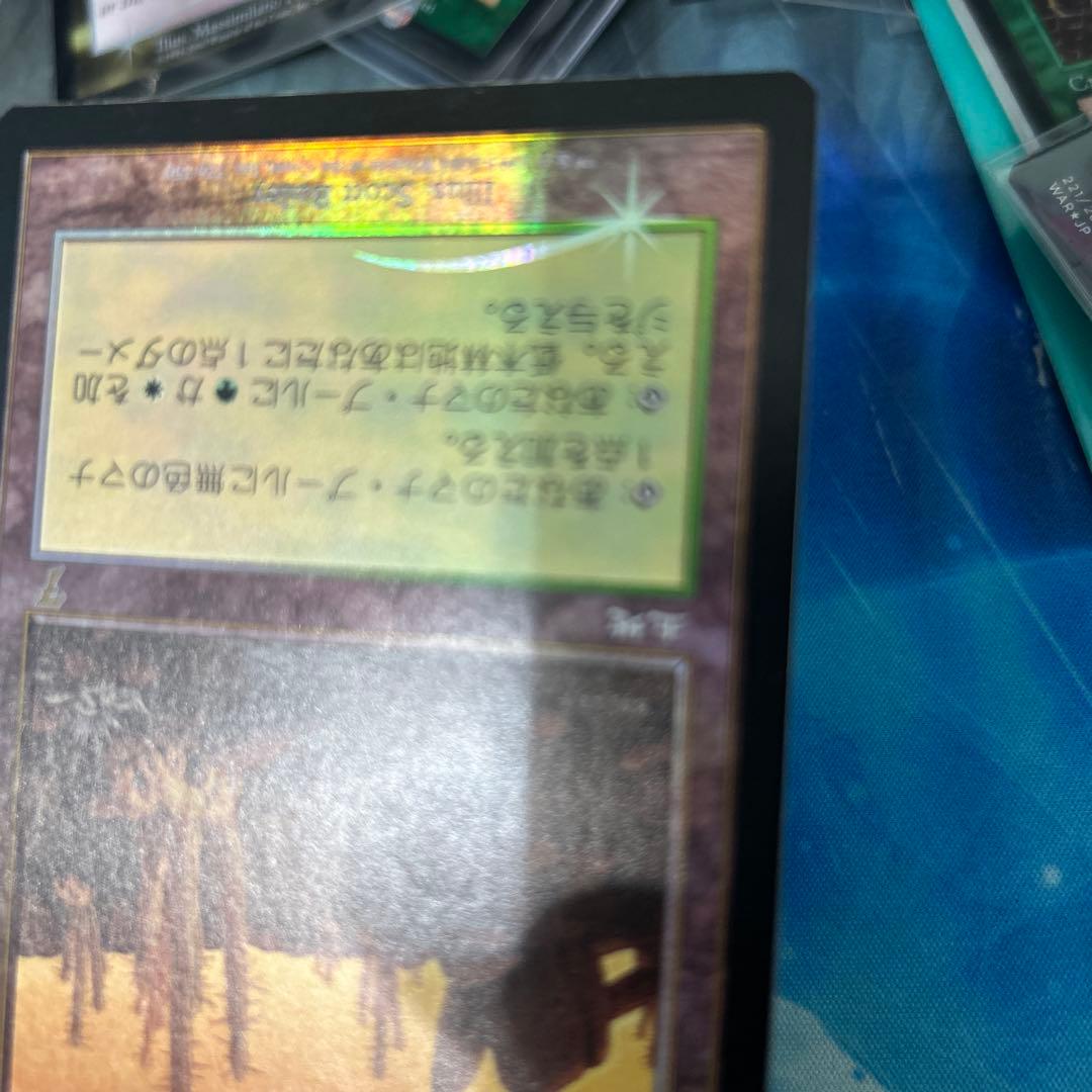 mtg Foil 低木林地/Brushland》[7ED] 日本語 jp