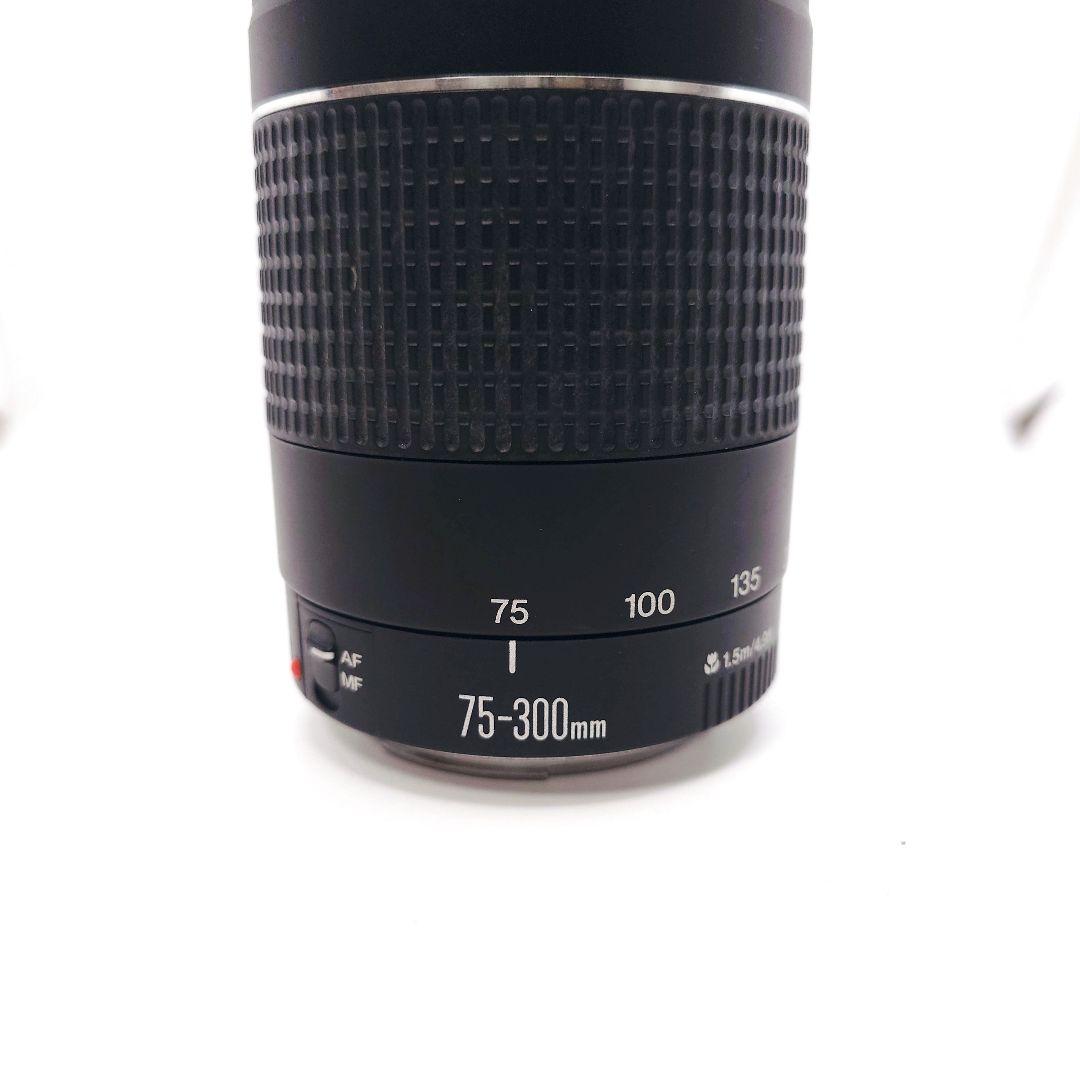 デジタル一眼レフカメラ/Canon EF 75-300㎜ 1:4-5.6 Ⅱ
