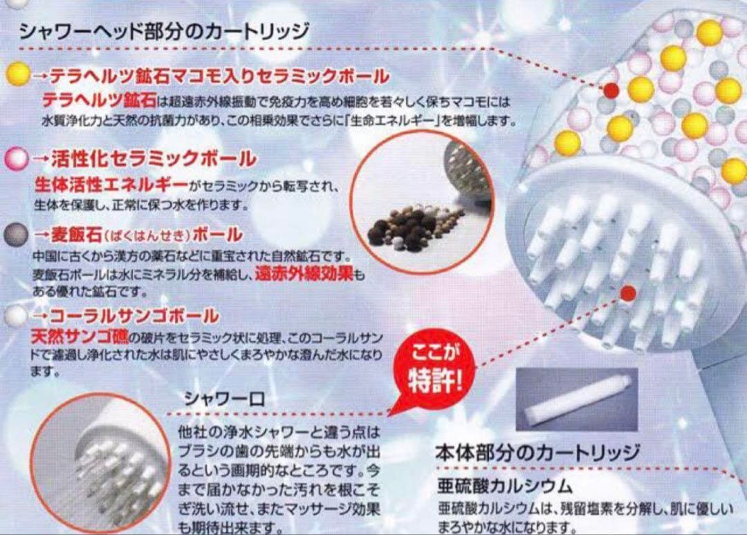 限会社ビビアン【ガイアの水135】 シャワー用カートリッジ - メルカリ