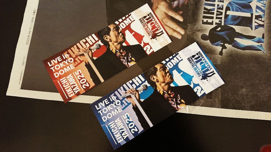 矢沢永吉 ドーム限定品 SBT トランポ ポージング！2dayチケット 新聞広告