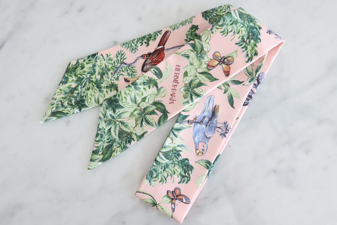 26春夏 エルメス ツイリー 《赤道直下》