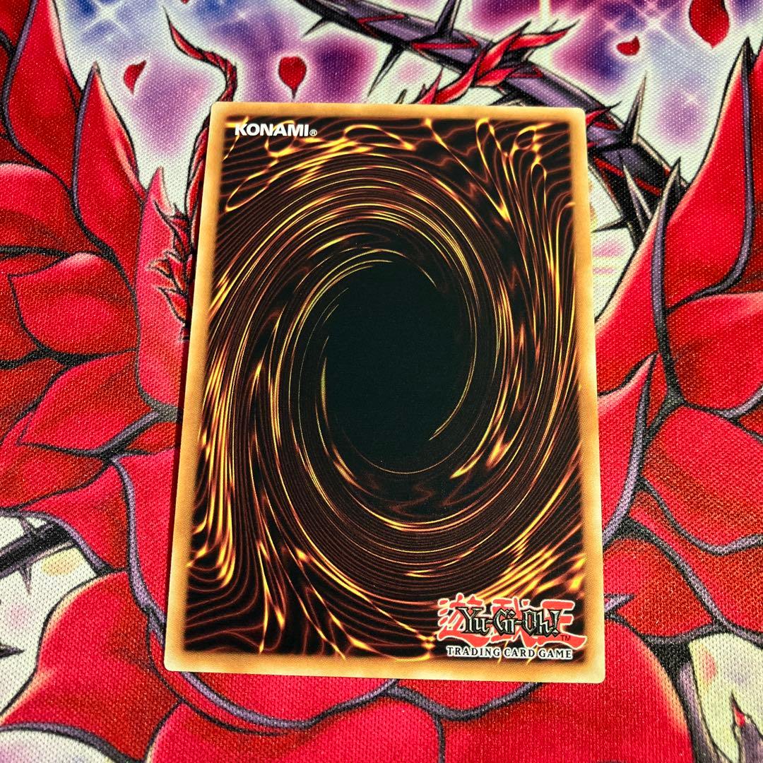 遊戯王 EU版 星辰鋏竜シャウラス スターライトレア - メルカリ