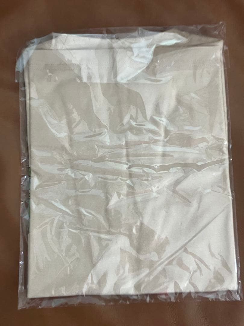 GREEN DAY WASTED YOUTH Tシャツ グリーンデイ　Sサイズ